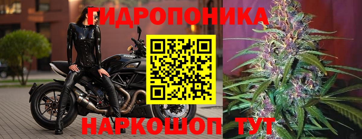 Шишки марихуана THC 21% Кубинка